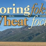 Koringfokus • Wheat Focus (Nov-Dec 2024)